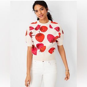 Ann Taylor Short sleeve sweater